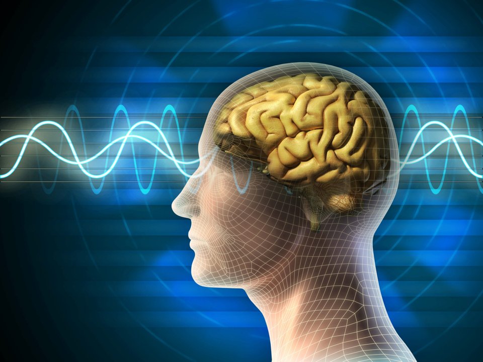 Tête humaine et cerveau. Différents types de formes d'onde produites par l'activité cérébrale illustrées en arrière-plan. Illustration numérique.